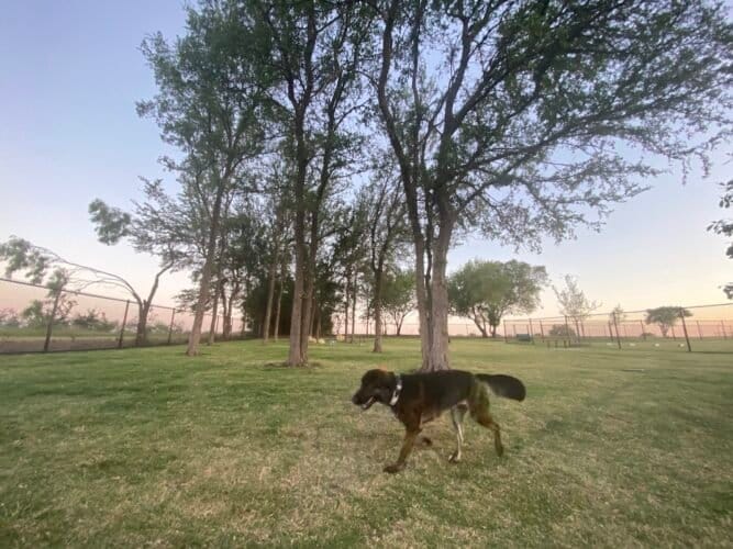 AC9h4nqhv4ZCrU51hv6ErxydDBn1SY10QEqHGiu v1gxCJyrPkHjaXKnqdH4d gvY13wAi5u1gL42pvZBAi6s jK5ouIT15qMyQ7WI6NTp8rA1PZ265biKjXaaI1J 7Pd15aFp9ID8IGFww1600 h1000 k no