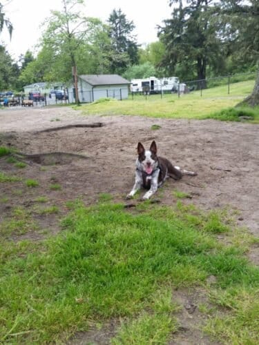 AC9h4nqhwBSr38spc0vAt0iBLIfSbtqW2mBkERMABJLijO9GWSrWpnWDdPCWpK9DEHuaUGxdnzqhQhke9Hi0HkF dIo9OmsNpMcm XAMi oOWTqVgp7IuNAs k5I20dxiy BQyx834Ayw1600 h1000 k no