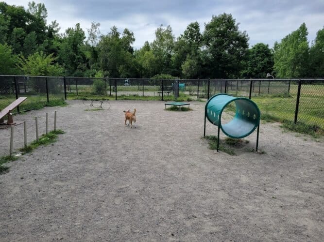 AC9h4nqi9Y6uRYzR78QP4XN9EW9oxuLiu6DhPphV7gqB zjsbaHzSonDT6VWjk0vqibYNrgBFLZ8V790rtoLvAxHoMtBmWdtCNrmpQmYsg2OhNNHBgq31hOLR0W5D dnJ3rQX19VhA7Vw1600 h1000 k no