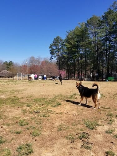 AC9h4nqiEl8AcP3 Th468JBBt0hYkYDToNkP4Qmf8CyyqTzyfzQK2sVIfGq7AI 6aKxStoqyqhikti0RHMYzMdslPegCOfCphRgSqxjdOQw1600 h1000 k no