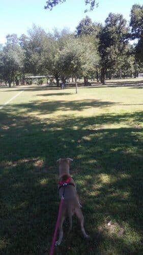 AC9h4nqiyn2nxAAPhfsCAdNWBu6fOg2FPVsBMlVPmcfsJkDbSyUwp4dxBP6jGnLlxbftnklJFv4lKA4ELn csvW9F8IsmYHgbHp1UnfluajekK8AlU1 iUO1QkrRcQPipMGv71hv2klrw1600 h1000 k no