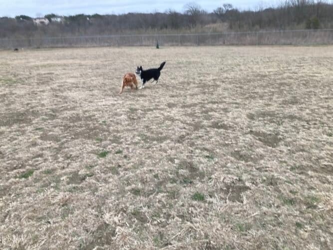 AC9h4nqj6jrs1vjHxMUwssqz iLi1sZC7OmGw6M uuCsMByUv7dtUAG2w Hgc V57ZtRyVxuTqLD0RTdSpFx34b8LD1E58QaYOVdEIGH7j3RXyfg0YpxAOK 4W4h5EindUr7q4zGt3uAWQw1600 h1000 k no