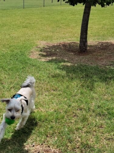 AC9h4nqj8jfTk8bIj0n9OomngE3lWhbNuLGQXle6dkXSVUpRcaSzZrqrraC7H7JgikMu4CPvqqWq8CH 7kTYdgQwTXDb4B1URUiWk1 Dnk5RjUScMNGPxXPzibCf3ofGYASZBDiucPnKw1600 h1000 k no