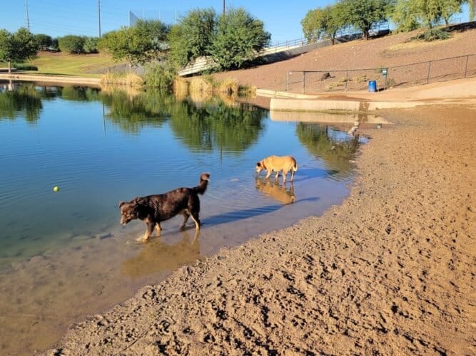 AC9h4nqjKlDhlAVQkoUGVR2qNO82Lun6HkWiQV6k6dOFblBqrDP325RNuBL8MQx 4oj9JKXgeOrX3ZwRwzqyAMopQYU8P7lZjBuWn1 OtBEKdw5iuzheNCD8uompgJV4pSMmfzXAXQN2w1600 h1000 k no