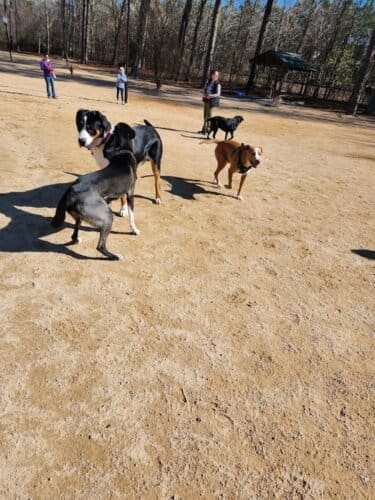 AC9h4nqjQCzGrq0vQNEnxaBICSM5CwJ9FgQKAhaKmpEuHBaKJ yqGaj9FDWPoDbBRSktaovl4a6 Jb5h2zaZ 7uY 3VbZgKCRn6IQOEgrJlqQ LKCfoPXmD4QQAt4waJ5cQHKZczayDKCAw1600 h1000 k no