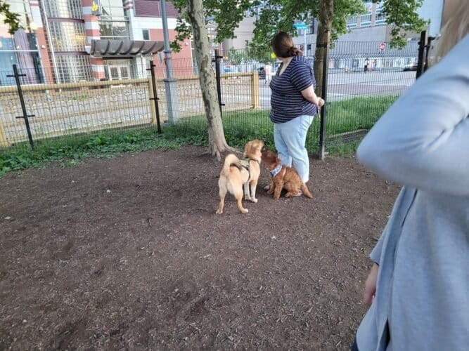 AC9h4nqjiCF7tXPIeTn15QCSEKSG5VkWV7UBInp DsiV7IHgbxnR9M530Wz9jHMadBpl4roRbJzv57M2S1FGqaxDHj8tAKJ5NDJ4c vwYcHYVIj9NCwFGlS2zZ AP P8zQvU7pxlIF8w1600 h1000 k no