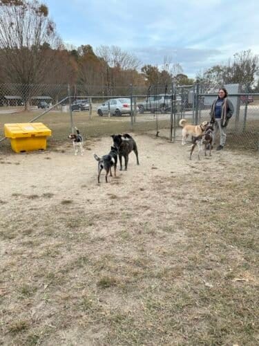 AC9h4nqjjewY  nWkSBGLqSi2VVy2X2Jrcj0wdM3a3N3PGQlZQ2jEfxtCMo 1xEvIwk5YNhL7s82 Ujy 7RG40 Mpke0bwqAfMFjEvkpFv dPX2m3VQ7uxQ0HEy681gwjqCxQfV4YMJAPww1600 h1000 k no