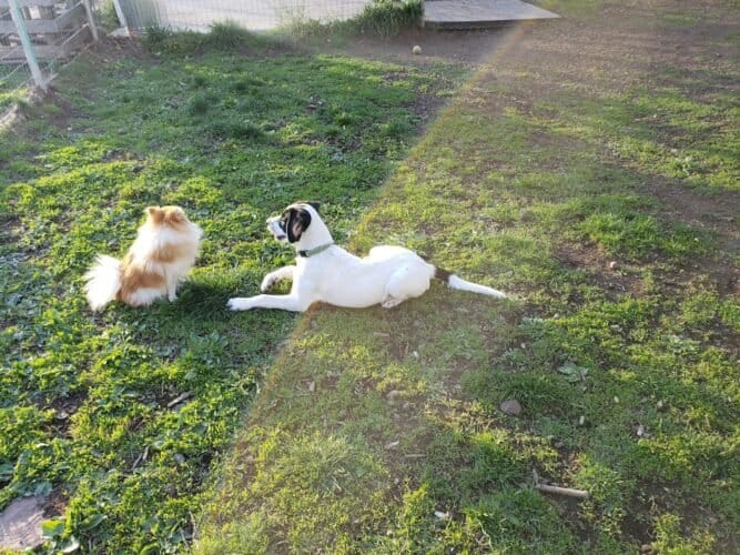 AC9h4nqjkz3me3y9xUvTvk05p3z FUem qdrw4u bVjvILEzWwve5D03sEHfA0bwWsjVwdj4MfLZv03erut3gJI 1ovaL7GybdhxEKNT7Y0ujsEpEzidtln5XYkw6GNhnvHg1QavwcXyeww1600 h1000 k no