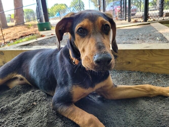 AC9h4nqjn994O1he0ArJuAjsdI4xVTzgMm4LMAJsUtdJ3c5xtv6AmKjNXrxNNhrF27pq2Qqa fXkX4KCt4uAV5GImVmg53dUZZaha3C670Wo TfUC8facyFdTq1YKf5WDbovtyU2tOLJw1600 h1000 k no