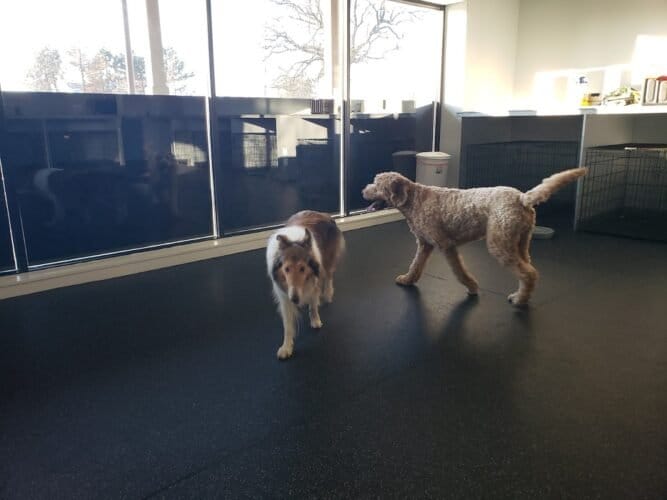 AC9h4nqk2eZmwJGS2yi24RGHiTMy9lG10xE9A7KDXJkro0LM SzqpfWc8vmnYs0sAhHaK8AfBMaya6Vrl360MNo308 jbSLKKJeAGPaeqZYLiU lQP hTO7O 0HWrmBE7X31SPP0NzBpw1600 h1000 k no