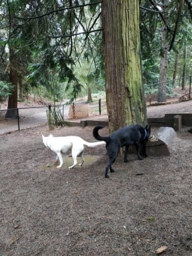 AC9h4nqkArtl69cxWVVm2nDzsoS4MoUc7yA GD5XQhJMJ7 QzrxUULuzJFKHgbZhYLfkK8FEqnW9 cCxBDirbIq1utxsUNL2Zt14f2CaEPR76L B1ALSX3apMDT5VYAmv0Lv3EBZPNlRBAw1600 h1000 k no