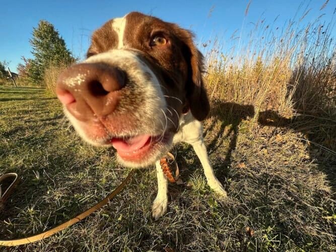 AC9h4nqkHhkyW20cNjvchdIwWaphzrQrLBRXBrd63GcKDBAhaaDf6gyfXShVi9q0Ng ilBhj42zWZmcyxhzlLmUArMfqgpI25XRcjEtiptE2oqEqxzqf5lXD2DMc r2Qs95vpQh sj1lUgw1600 h1000 k no