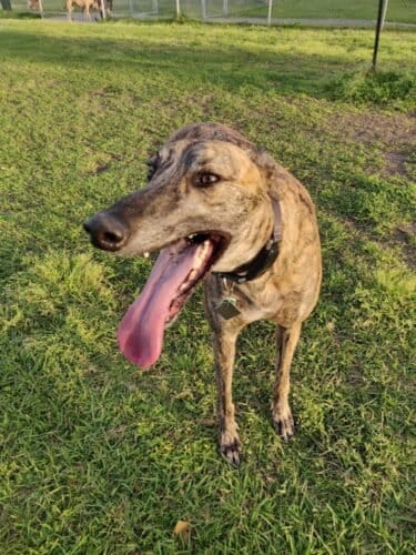 AC9h4nqkQJ6vhiz1Gf8j3YZmmsVcfq2bjrQ2OpXWmRoDsVf0Ff qbuRyt6I8gMwF4TiVc0utRzt6qJGEYyNYBsiBZ06bgu5KIV7I gNAhas6gKgJ2xy8gh0QPv Qxd lVaZfhsOF0ZYw1600 h1000 k no