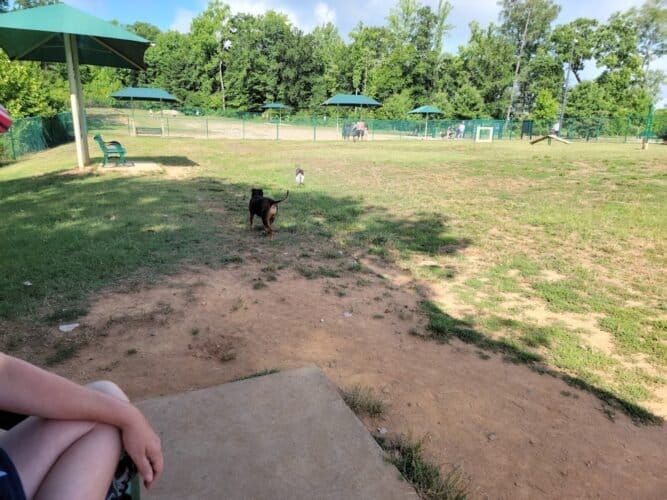 AC9h4nqkdIuKymqIk5UKciRop2JU3TPPdO6vtbxFqJSRh3lkogMEnUv227t6TmQh6WKsS6juOjjoqsezuUBAFHnAlRf6wFDMdhtg2dUgMxV4br1uzo00 vRtB63VwoEyzm0Oxa 8 DVnw1600 h1000 k no