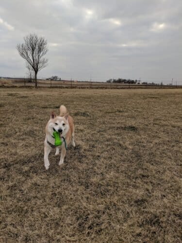 AC9h4nqkeh2Fi4j H9E  l gdjkOCrzXkKvRozWlZjhdM6xTP7GbEN3uQf4ACNXDKjFRE6DAdaRLvwFQvlGn56VjIFksb90FohfiqaD5JRJTthLU lJmU6JmZPk8iu7Ub2ru1kvcHQ1Ew1600 h1000 k no