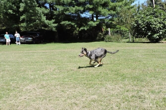 AC9h4nqkhvDZZcic79fEDDEgd3dnqiHVBG vHyzDsU IRhEXaSZnwt4hym u6Kac6gOrU3gkxdy2ZFZvqXghpOjwKTzI63nDqTBjZAMBGJ1NRzZdpgvJ wnA1zLua2j4FQd7rk0BpVviw1600 h1000 k no