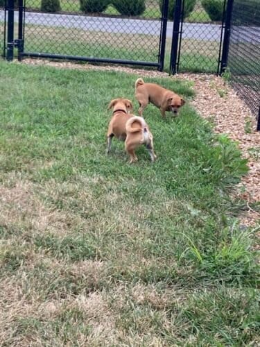 AC9h4nql gEhaL3711inxM12R2Tr8a37hOFP84eyBi 0DiD3Z6rSOABHnmgMIlSHNlp DBxYLB4rEkYpUvOxIKTEzMuaDB6m4aLeTJxwaOpUEBSqFxRK7HvkYWxHzgXzuo4AHno7kASrw1600 h1000 k no