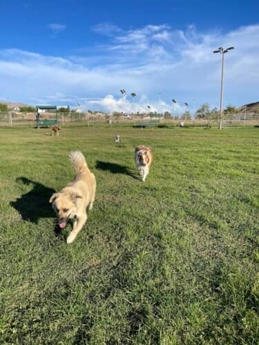 AC9h4nql1ky4sNU4479mh7A2TfPnapIlp s6dX6GbBUD9IM1j u4fASeMnP36Z1Fr1pmvMarqOJyXlJrLfeafN2p4WfCvoDiQSIV7hwLgQw1600 h1000 k no