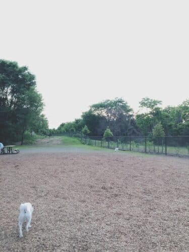 AC9h4nqlA3nY1EWksQ2ipnG9X7qA2alupsgbPh0W9GaWLpSSI9  dBtdmo DqY LsdczHrbPJCIV2Fqy2Mo1rNiHchnEOrvH L4OJMacjYV69ByNvLNOmCmF3kfHmQIv7  rl8H9dWoaw1600 h1000 k no