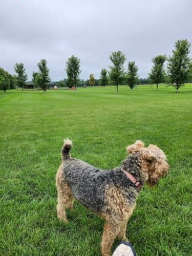 AC9h4nqlRRMBi s9 ecRIe15qgMBqCMU7aMG0O3n9nfOV39PpxNze gGLXIp5EGsVJM kb1njfaXXdhpeu2SX3G2DtQnDdY Z6n2WskeaAw1600 h1000 k no