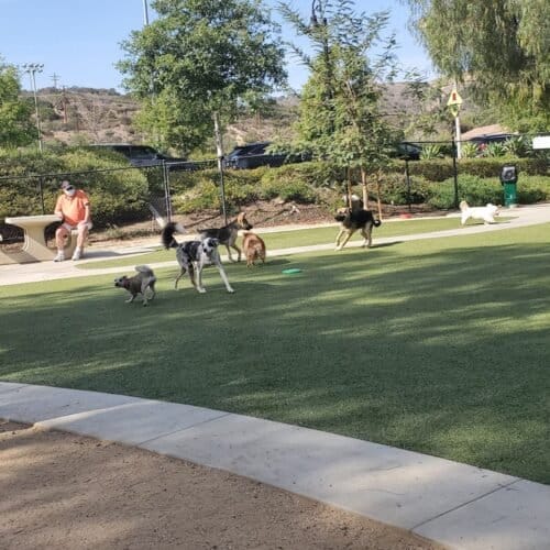 AC9h4nqlWmP2G6GDnNDTWg 9vOt8SqcuFKLEMZfvqAqHCsXHjdnQwrlOBArHSB qWguy0Fa2opnxYlJssCjoBc5zygCcPSXRXiUHSirtaM8 FUAkUXg5swdQbPX03IbhGYtJ V4hrLwQGww1600 h1000 k no