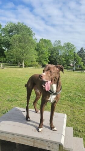 AC9h4nqlWmpBgwetkrXTPa1MG2K2ZqK3SJ2ftRZRkpDaxZHOVN1FVkXYEl60RVe3Es TeSW8dknxoDmSi7mkkB6Gf7btB8GPFuMJMfkjj0y0iPKnNfDGcNaIhz8MGT2N4NaXfyHYeyruvww1600 h1000 k no