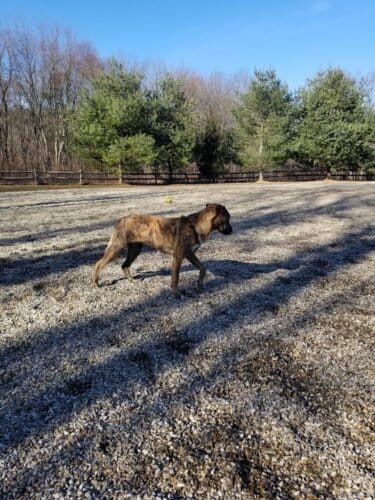 AC9h4nqlvMlCAaYQ9DawwQgnwT u5Y2NDOzHBhKdJKclktP7uguYCferfrjjSvREcFKb4ImvdE8U8mh9yZGosDfv7Om4k PLFgJQzzsV3f 2bkptoT9LuT8ZbYZX0Sit6kdw7KDVKfcRIQw1600 h1000 k no