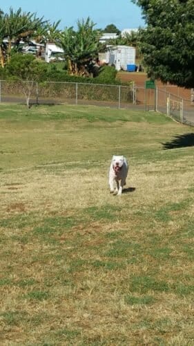 AC9h4nqlxnv0Ztdh4G5na13ZaVrKHQmSiKEUiGUG1VtAH35sQeMz vrGGDO28 j bm7P0bVVWqw8IrM7SZ5QtyV9chY39FbNYb7iygqNO62ncIBR2Z4mHsVdaGIcZ8H rhsEAlkh5mmKw1600 h1000 k no