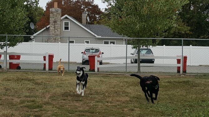 AC9h4nqm4nGD4iDd99ofSV8hQPnNAmNzfHpiyrDfd3M2HPMu03L1plC2oy7UlakxFmQE2CIhA0E8uXt0n xfV0zG7t0KqTiE2OxR6CB xuMmMCHsLMrBqgSwo WJjf IDjo3WSPILkEw1600 h1000 k no