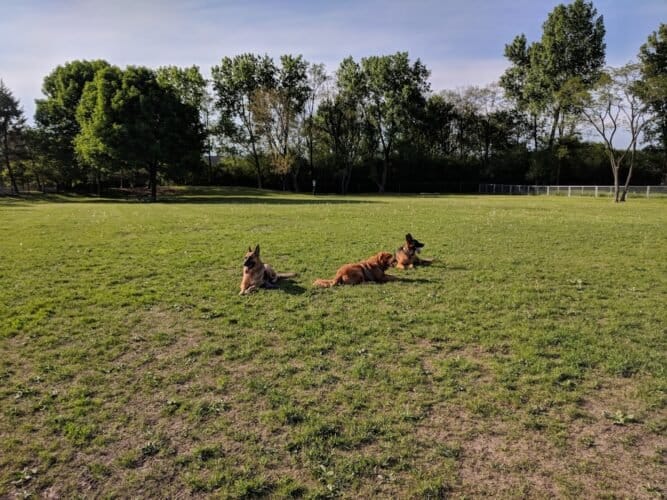 AC9h4nqmEFzdUDkJ6vWjLfAmdTKG4FgfijEFsHbO y0lt6iRnJWsKYTbn0PpeXLlaUu0Bj4Kurr9LDqhzSFn0L56gbDXmSLUA8k6Nq3zE7hUvyMQjgHh9c n6FX mAXz0whBykY QP31FQw1600 h1000 k no