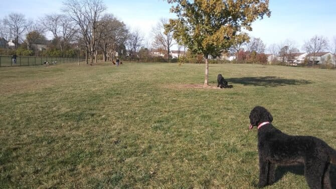 AC9h4nqmFVbWFMtOdrHa0s45PSDmpxPpUBrMo9Nj7r7gDkPIdU gNRrPjPQ3XMyu0A1v0GN1iq8q7klQphoWRWcveGnPo6zfOc BXLFRo995MI7Y  qED we tHVVv20vYEl3gxtioh0Jgw1600 h1000 k no