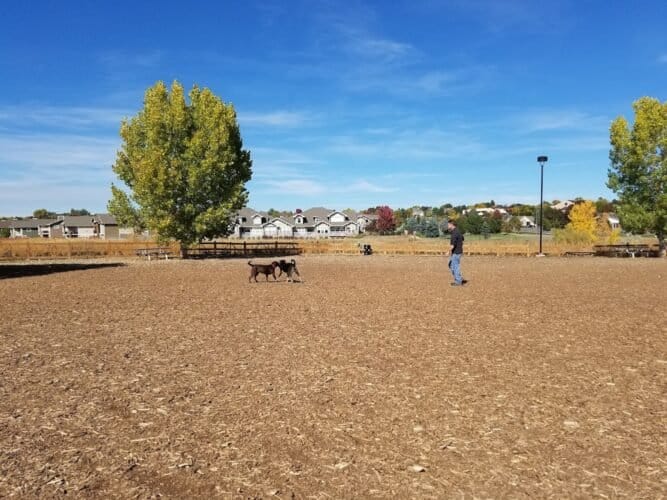 AC9h4nqmIsU1LbIMpLzf7SGQnhcyQfS 6n9JapZh7VGmirwN6TL6RBPnjf23zgbqIGnLj3Jt5HKkPMVjrC6bCW7UnfPxx3COTyDKcO19RET4asKWPlceNTCKW5yX2JaogbI2O qvDzolw1600 h1000 k no