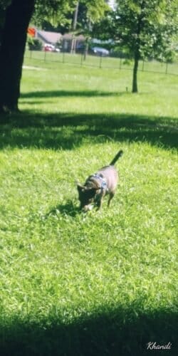 AC9h4nqmomUPcLq4orUmR3H6y 3AaExxS APPriK5i3ZaQOAHClWREKYOY7nmXVEUiWXiUFNOVCxRd6vxjGNaImklaaUwug4nLePw5VR1IzwPao80yK4s3IBjgcHlguwKcgM4R05KNwHw1600 h1000 k no