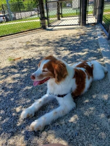 AC9h4nqn0fQ29qjnjtnQ211b3HXzh6t98Dd MmAVZKiMmXPTBk4jrNkcYDhxe4VzrYu4vaX74arXBMz67BbP9N7hvDTxXB5XVbAsa8nLsZKrXBAILKqVYj5UNKgvASNiOrzfJgmhERblWgw1600 h1000 k no