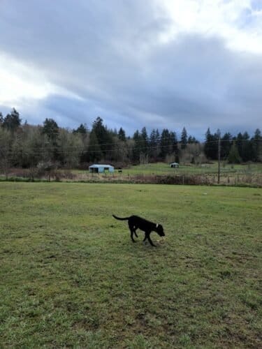 AC9h4nqnKbfZMXQO71MBAm32ek p6glINbDYscDQrzm6Q9xr8i4sOhmeW1knJwgbzY4va1pFoovE9 ZtzL5j4BgteSflljjM4hKTa5nIZC00AdOAhHKQtWeyeAlGDeoBOhu7YorLKn0lTww1600 h1000 k no