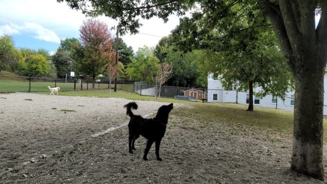 AC9h4nqnNFe wcD5mPP84Ib4zkReH sv5JtmwAz31qQGIRWH6KEWwCxi2t7GJVXPzpZiynkxYHtmvQyv583OCxhrRPXKqlBdBnXagVlntwN2Qnbo8rCRRvn5rqFkwWZH1nWWvdPtvow1600 h1000 k no