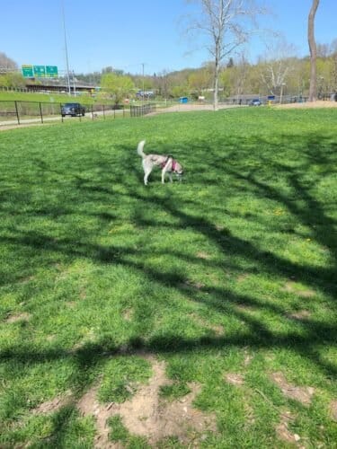 AC9h4nqnOXTe VpvwYkAqJF46jzahicnRBjZDb AzmR7 anyx2DUvx6Mad9g15gukv22p hCPA5MM1uj0A9VEWIoETjMtQ i9YPJ sxNe1jmqzJNmKlt1ayDU yytvEARNm9DrSQTEnnw1600 h1000 k no