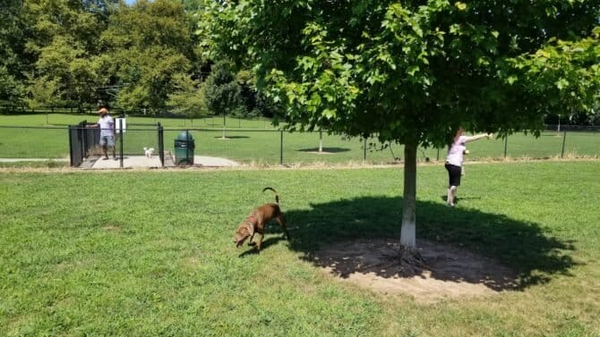 AC9h4nqnRAsVn5spSuP29r4oCVsQrYXz axpkz7 l1avxnH0bcuIkYVRJJ42G pGiDYtQBoHmFrEjyJxymEk1Pr 2nggnBERET7Yhce ToTEGeStVYE0ut1dliLgdp9EC Zc5G KpYxw1600 h1000 k no