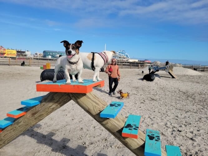 AC9h4nqnRH6YBlM4MXXxcbvWOJkLDwaJwIqspN0i0HCgt8NMRrGjSZWWpYKK2OLm Sw80AKEAG1yacSSNSp7AnCkA7UqXkmCi4 2qG9Gn6DRDG jML PhtS2H79EJ8vPxtVZLuyHobww1600 h1000 k no