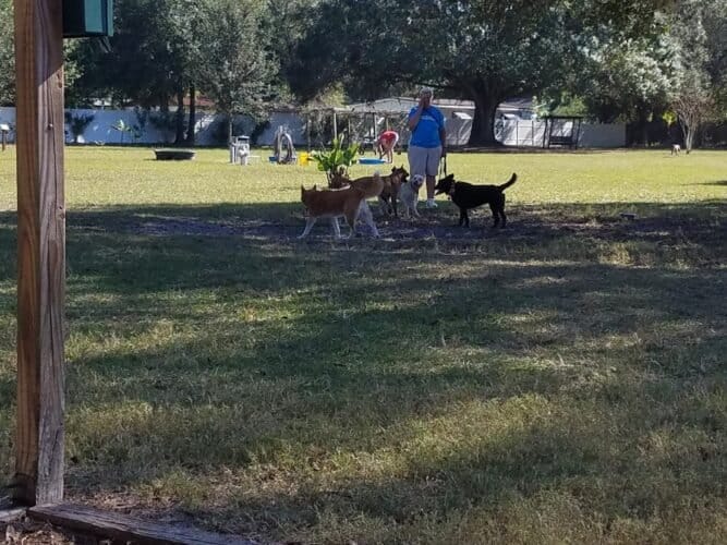 AC9h4nqnlZYYz1KcmL8eVjJw4M7KeoYHx89opC fXltm4Wt3Qeah4gu3xoU2k9nlzqd1PqogOlNkjgz7wWfPrauCPV0f6JHb0nbqzRzlo pq34FqeTGruNv4DVfDTzkhfYgYpJYfe9v2w1600 h1000 k no