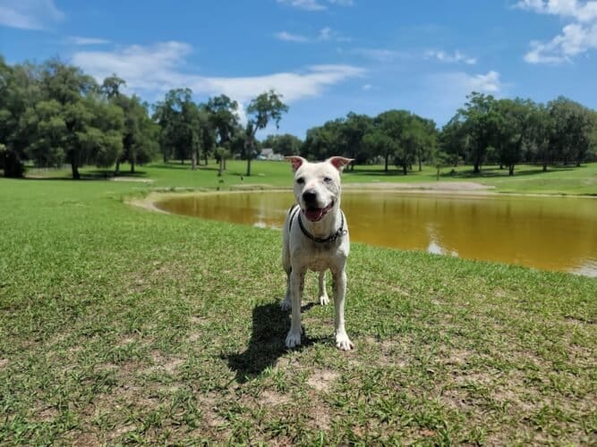 AC9h4nqnmnyCVml8N8YlslASM0sfTNldwtI90xAyqP5 U39XG1AzANCz 3qOlPfpki6MKohDuQo7i 7 E67hFVlkJ2LkMxx4 yRZAq9wE00i5PGwGtu3qOgd3MwCUpTPaq3qmNvW1WR2w1600 h1000 k no