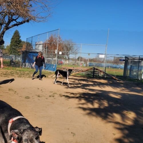 AC9h4nqnotIKBy4wzk jOXtAVefmkJIWYyWK 4d5LT4rtbjj RisWM2It9YDgAeT6yUENICtQp3c2 Y g2yEfj4X2qunj 5iUkRLVvQtiC11xwrtfIwTSm0HkUMmxTEQzHtoRrrwEBEuzww1600 h1000 k no