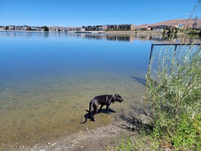 AC9h4nqnsVpkeOPPCdLZ1VIIhTaD30BAdrt1oDMTXosY9Arep2L7OXHWi7p150BOvjAqQKiD2eau76uiW0HFoHeA5HmCE Or3py1aRdYy KfVZ9w3Vj8H5E5gf4 DjwKQsie3MGSBgtw1600 h1000 k no