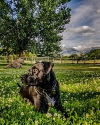 AC9h4nqnz8Qy27rwlpw4xm6Q9tzOF6JCj0xiKNzHSJhNfghtKyLat9sDjFiscgcb5wz3GpWhH aaS9PdkEtHFXS8JtgIEzhzV1SE8af4k EiVXJgpjyfXq5UPWK81kSCERcti1ZPMohaw1600 h1000 k no