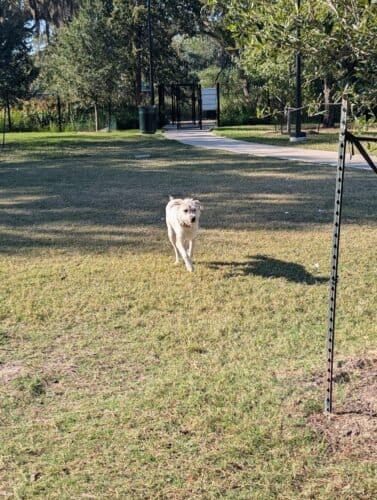 AC9h4nqo0FzFVDEk7tbpCZpWxoS2N7vKLqNPolaw2UIcOQhiMuWBqbLXeK3brWsbDitgfLNVDjgyb cCUKSfcQQOWPDiByDA2T9P wZXYq4w1600 h1000 k no