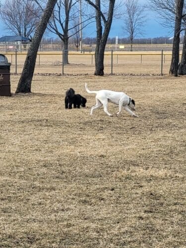 AC9h4nqo2IwOwUzlS9z8LzK1Ly7AZ1f6gK7FyJkYpJSzomE6pxUUs4lg1vS96AZLbySt dcuCImKnfvZ 5KH88XiBslB8xUYtFeUfqoXSgw1600 h1000 k no