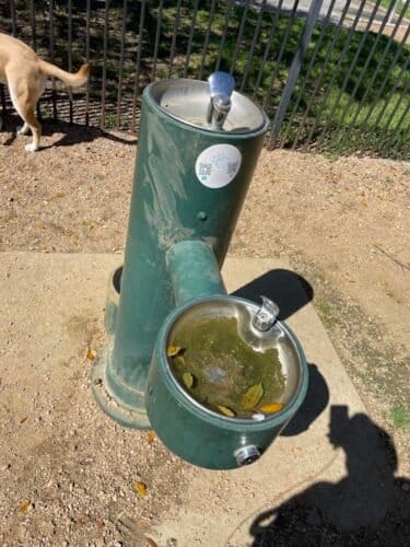 AC9h4nqo4Ft8OkUX9U3kgNbICGk9ZKk7h0Y BLFVRrR7uf3BqMtLNX6THUYly6E84fKFDcPmz8Tk wxrE43xkYcI4DWvjKDW wieGegDZAw1600 h1000 k no