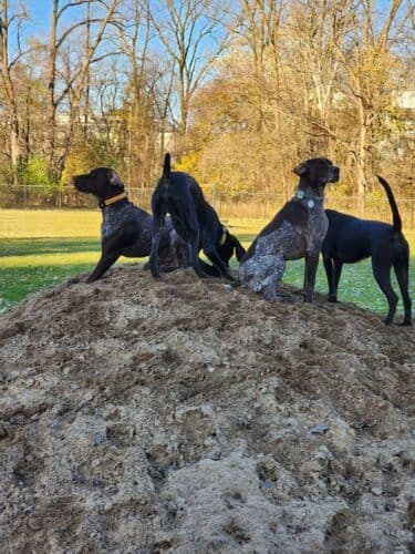 AC9h4nqo575mauzrnwBLlcz5o51p7K9V 8w4CVytJRARLAyQvGeKR cQ2 bQPdFmFnyEs8oCfCIlt863b8FwwoGftEJ7y49UCmQjaVg7qwJNX bI0DgHVhZ7cuA1UD1dj05LUXsm6UAw1600 h1000 k no