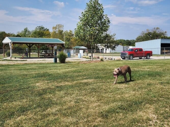 AC9h4nqoG38f5bZOBJ A fX5JbrP NfjfiSDkmObeHmGItyNG4VwmOxupqKEwhFQB42dfjtbLW6XImPW542ImevXu1mEXhMkI61MlZaAeXIOIhBU7SJLH0tic1wu IX0uGmFDCThuxzQ1Aw1600 h1000 k no