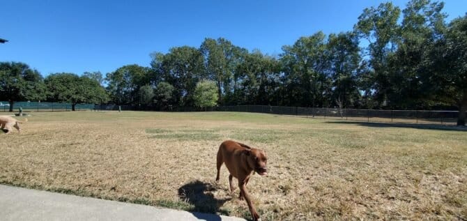 AC9h4nqoL4 jXh3GWpey5fSv6DuQCGraaqGBBx BDd8hjooY1 w8HvDN HdBKFmoiOhJSMv 5L552NhkQoPRE6KUVJ5o Vm7cm8lTgMNG3D8IAkyBdlJnrhhMugUBoIn3P3NHUWR7BCZw1600 h1000 k no